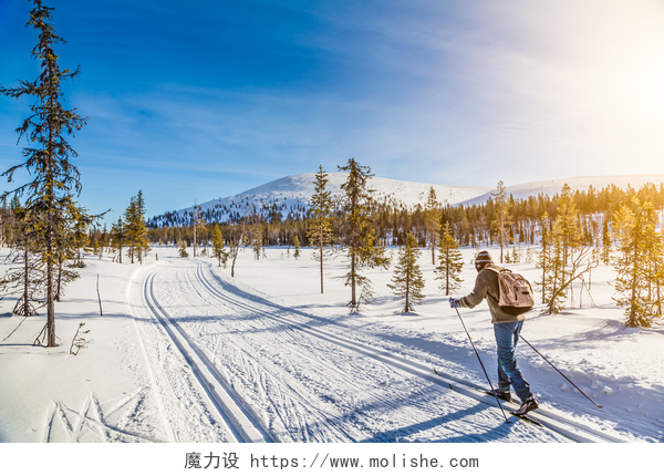 冬季雪地里徒步的人在日落时在斯堪的那维亚旅游越野滑雪